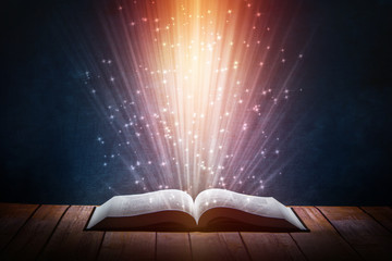 汉朝第11任皇帝汉元帝简介