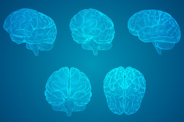 二年级一班最简单的手抄报 最简单的手抄报