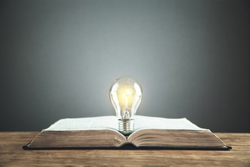 汉朝第11任皇帝汉元帝简介