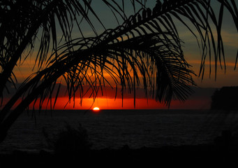 饮食健康手抄报简单