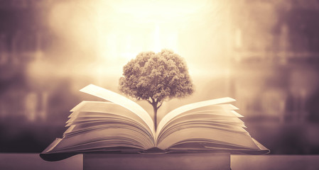 高一生物《细胞的分化》教学设计