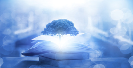 新房装修后如何让家更宜居？