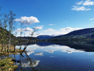 世界最奇葩的五大动物