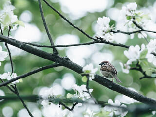 新房装修后如何让家更宜居？
