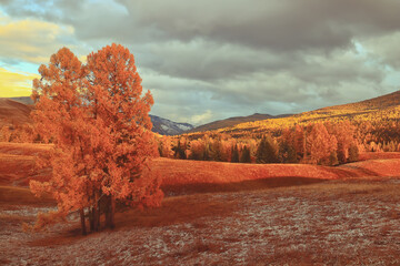 饮食健康手抄报简单