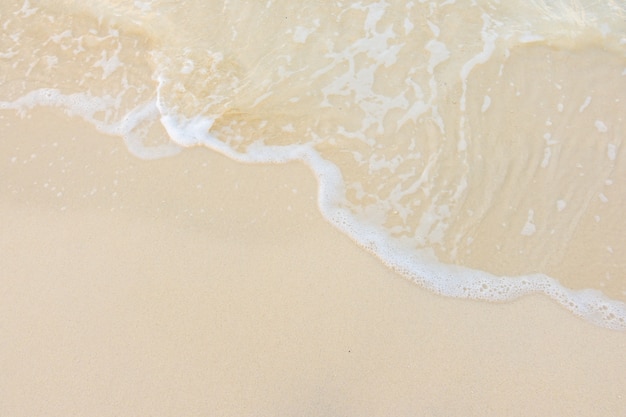 饮食健康手抄报简单