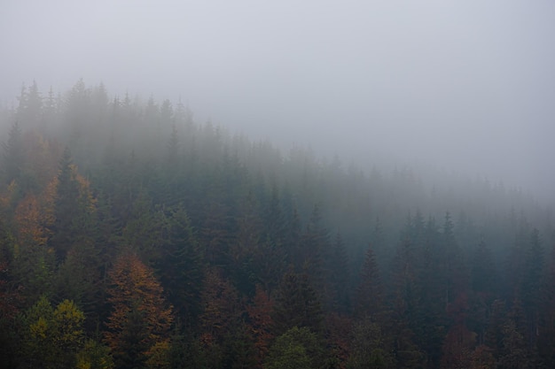 二年级一班最简单的手抄报 最简单的手抄报