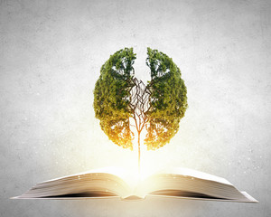 高一生物《细胞的分化》教学设计