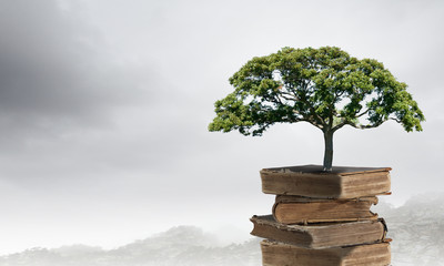 迪士尼和迪斯尼有什么区别