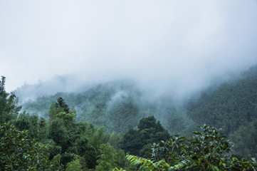 新房装修后如何让家更宜居？